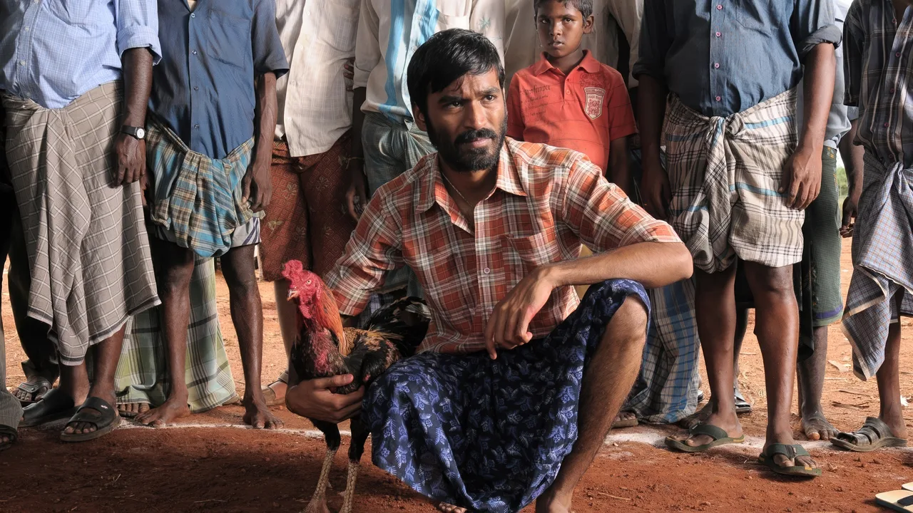 Aadukalam (2011)