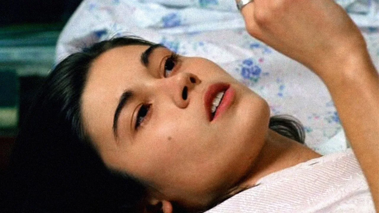 Soldiers Decameron (2005)