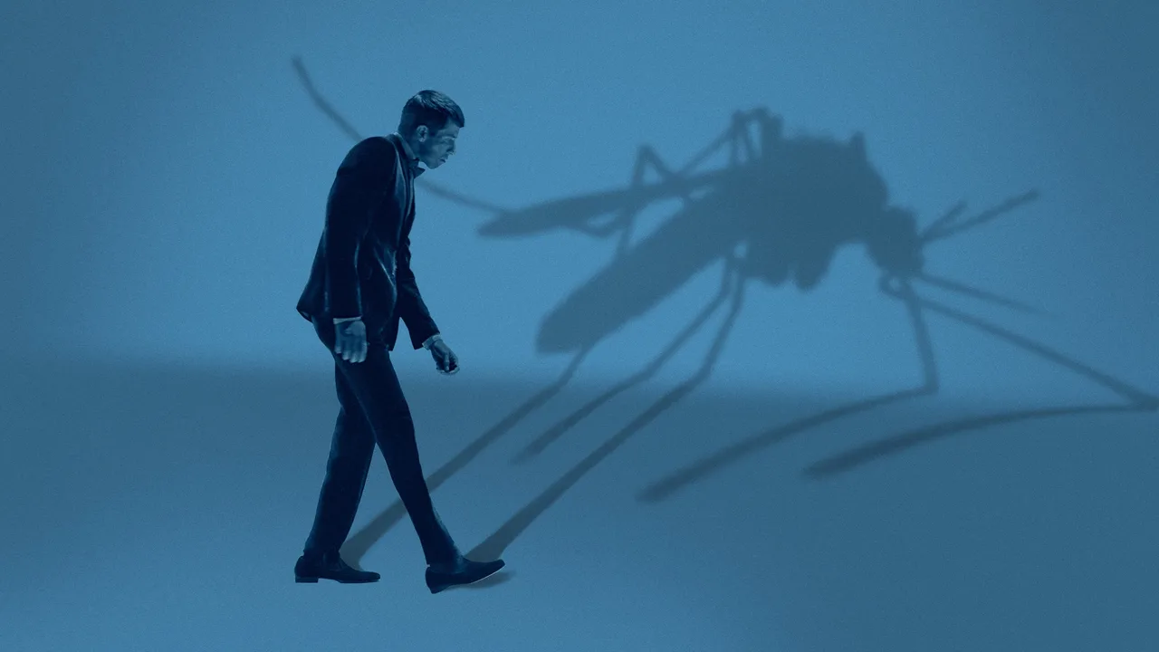 Mosquito State (2021)