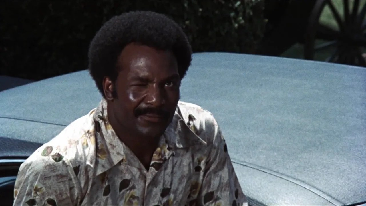 Black Gunn (1972)