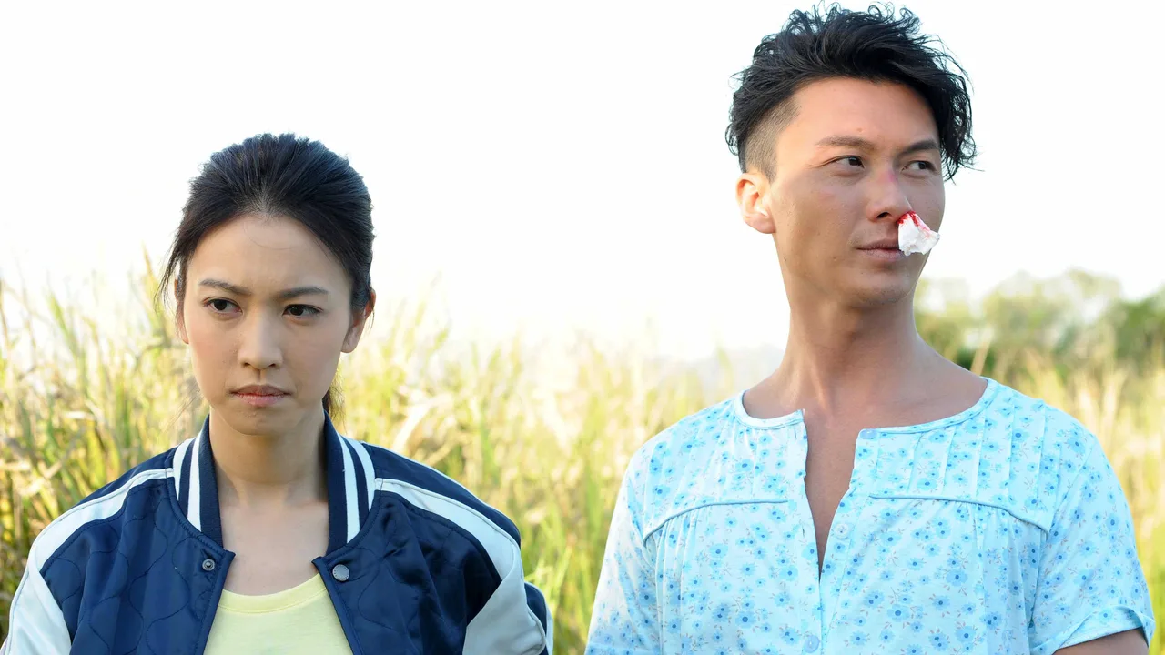 Over Run Over (2016)