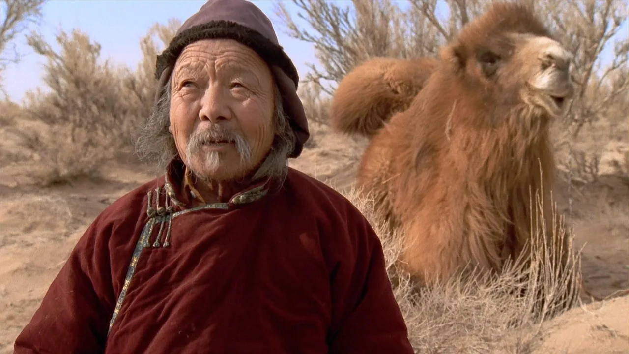 The Story of the Weeping Camel (2004)