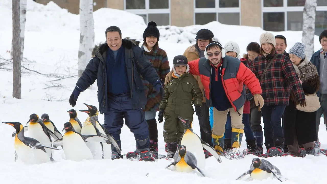 Asahiyama Zoo Story: Penguins in the Sky (2009)