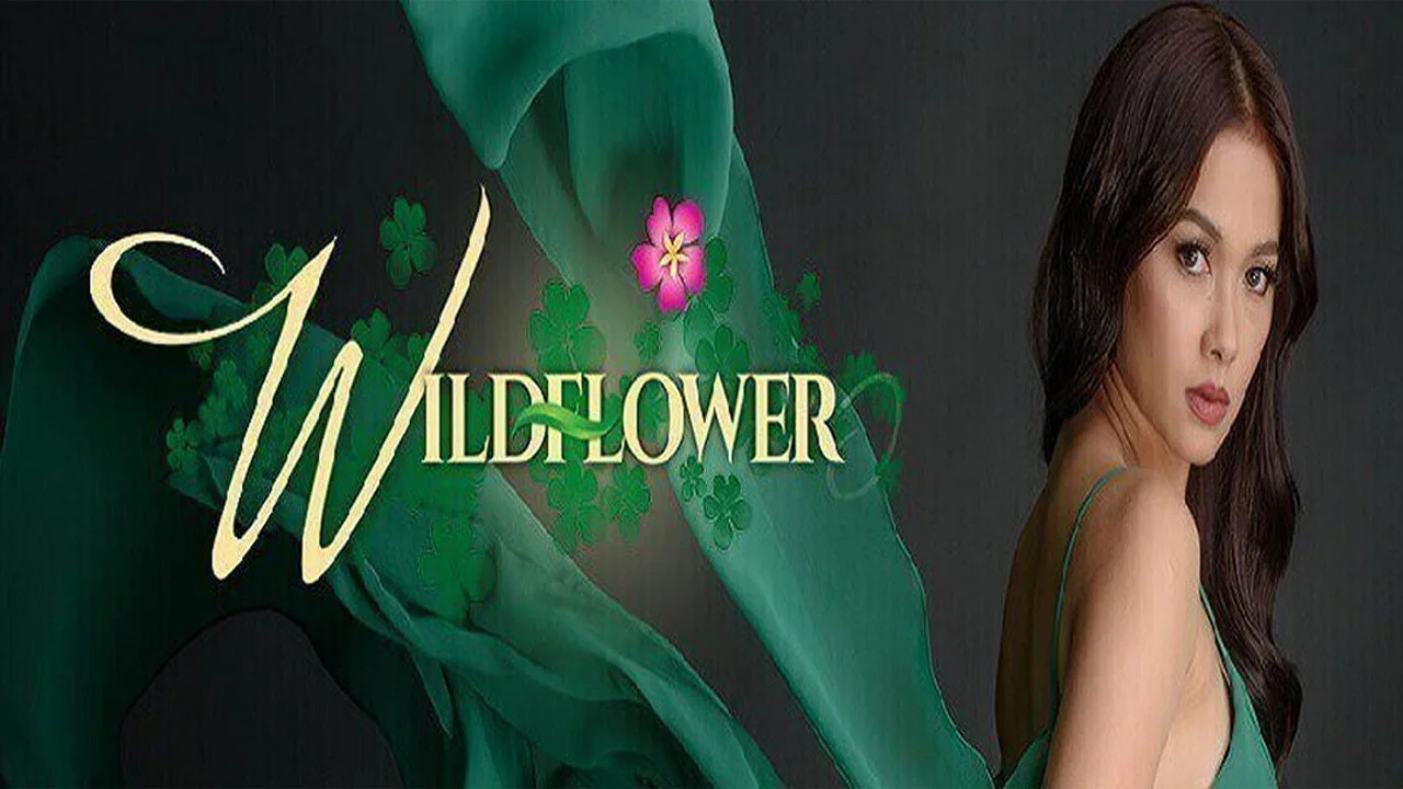 Wildflower (2017)