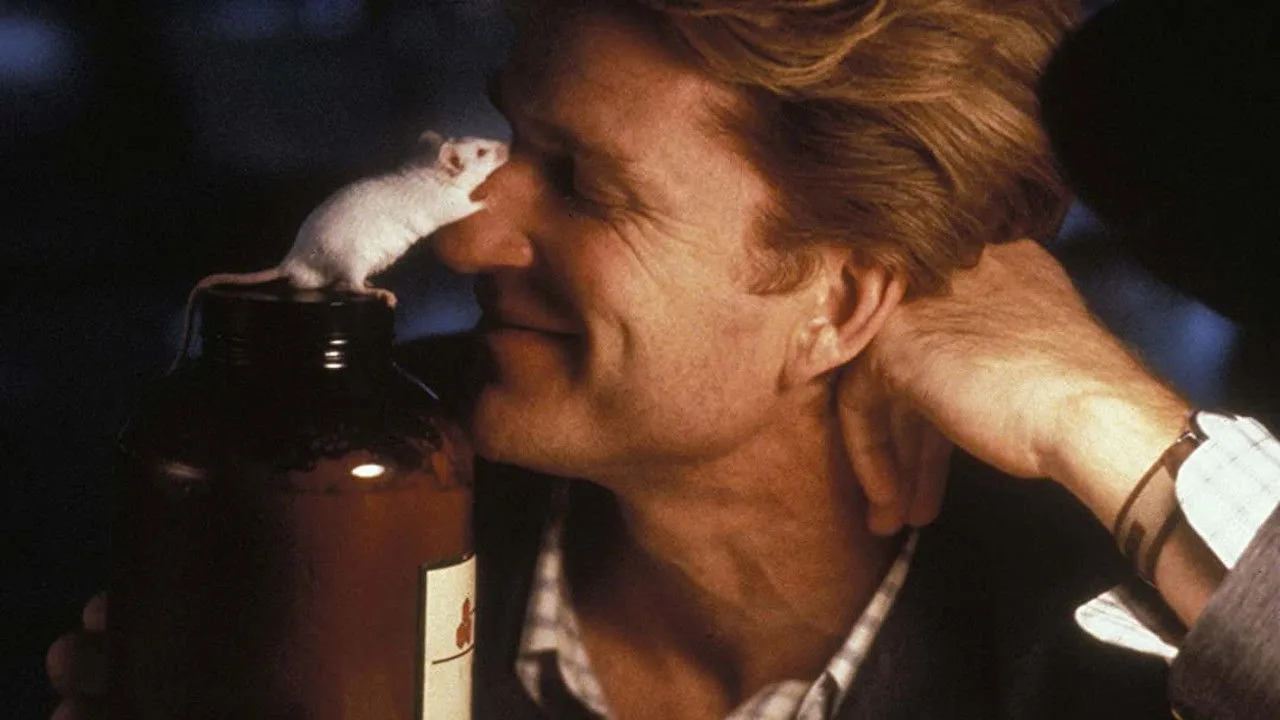 Flowers for Algernon (2000)