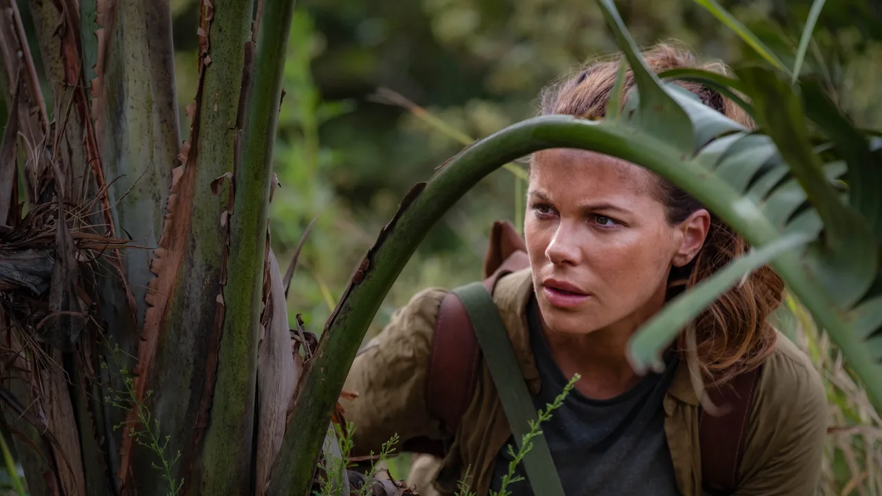 The Widow (2019)