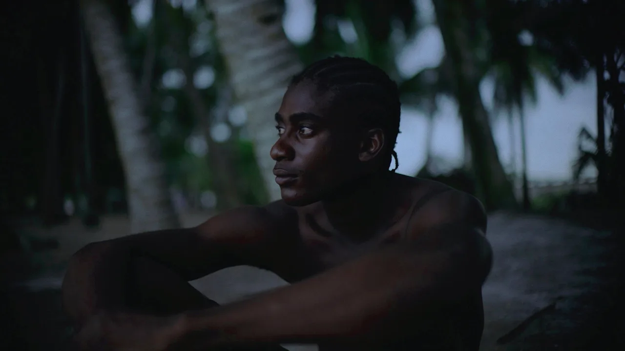 Paradise (2026)