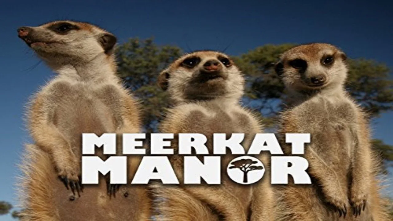 Meerkat Manor (2005)