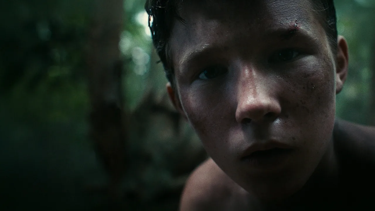 Lost on a Mountain in Maine (2024)