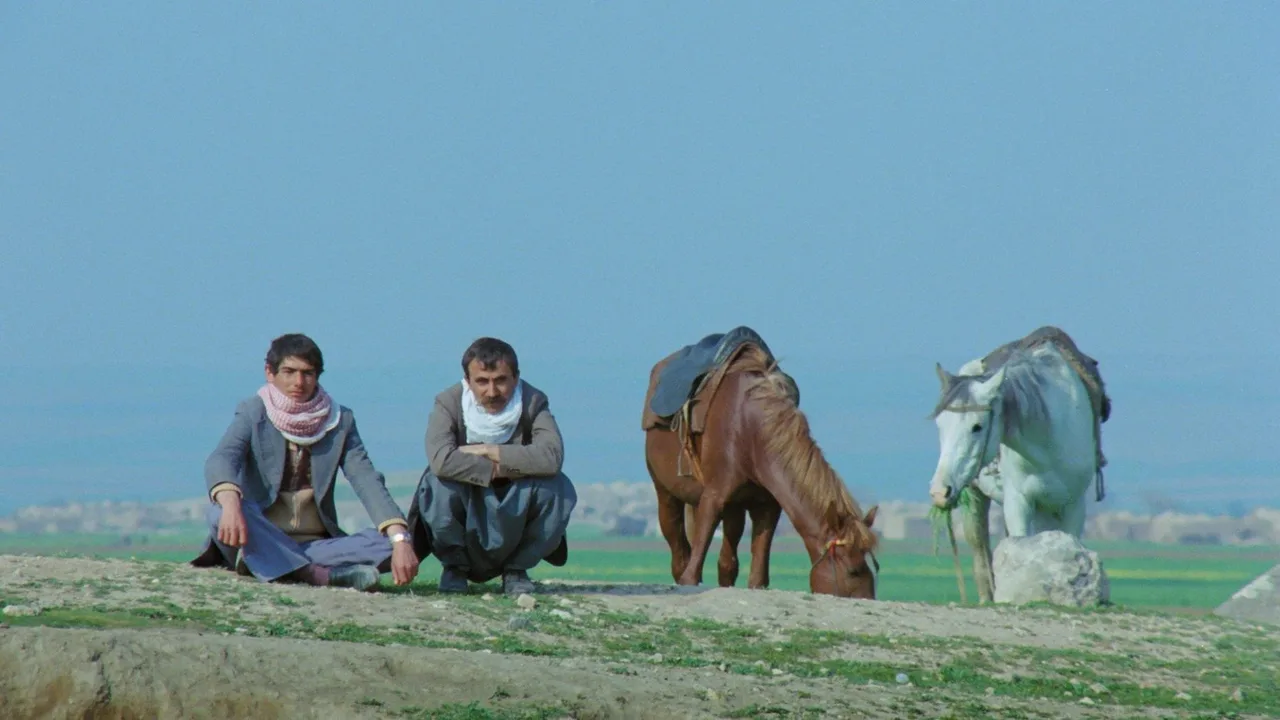 The Road (1982)
