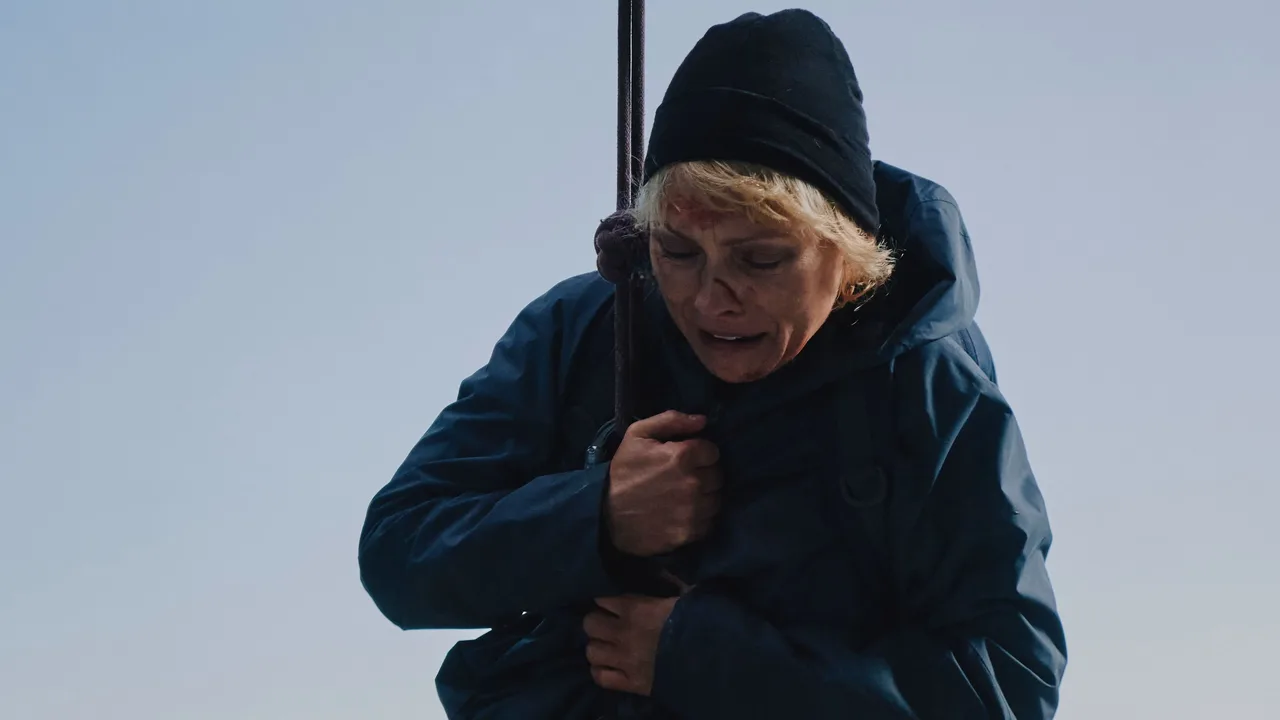 Zip Wire (2026)