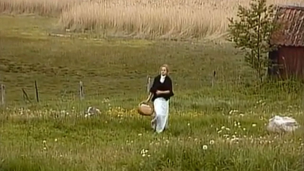 The Freethinker (1994)