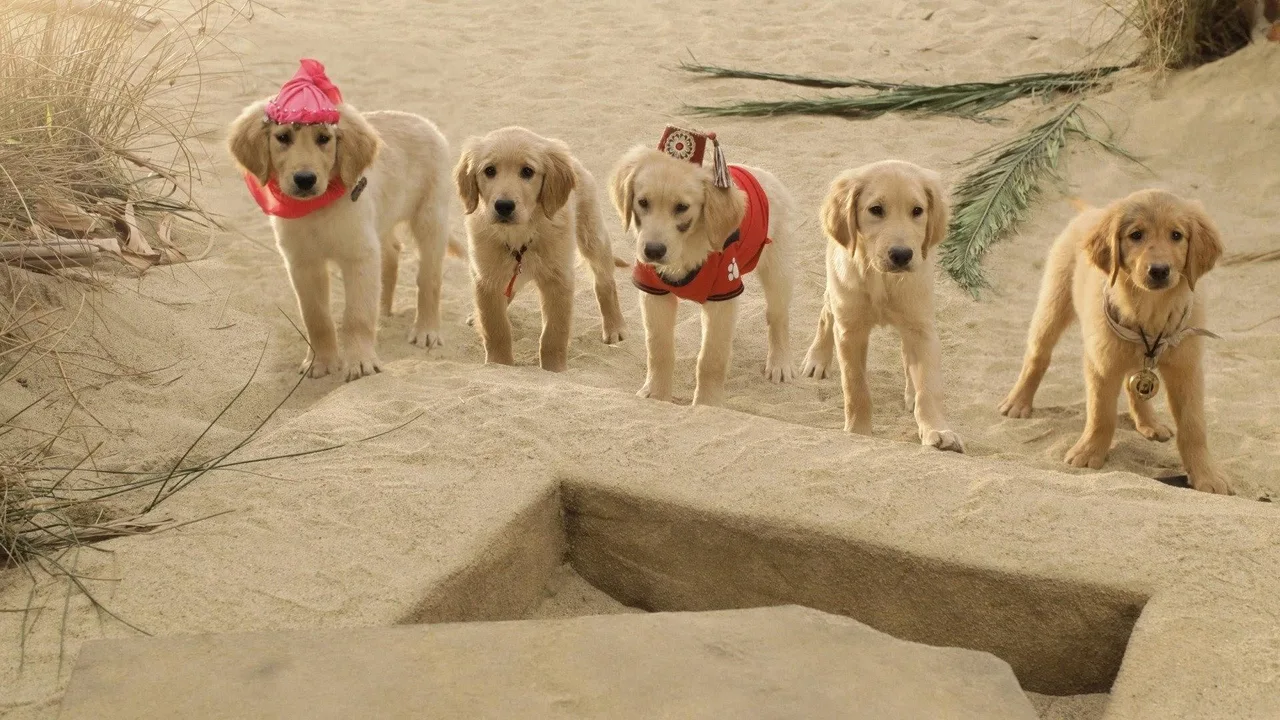 Treasure Buddies (2012)