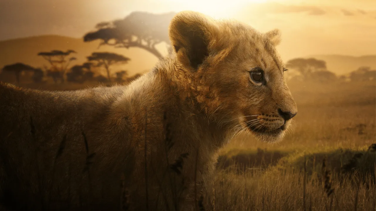 Lion (2026)