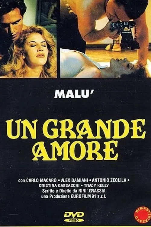 A Great Love (1995)