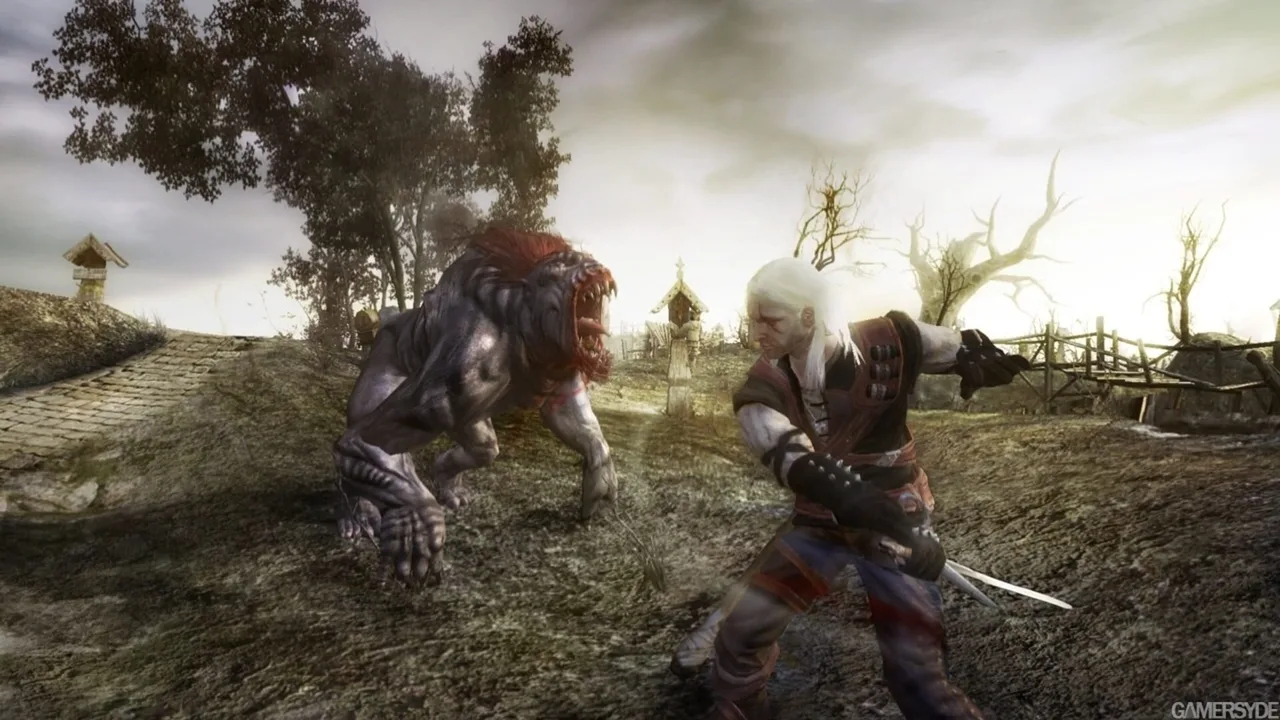 The Witcher (2007)