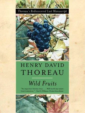 Wild Fruits (1999)