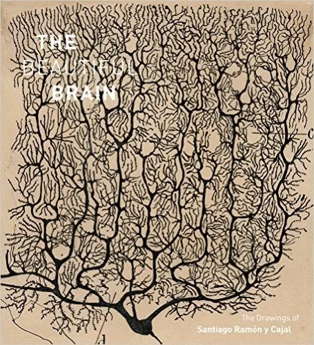The Beautiful Brain (2017)