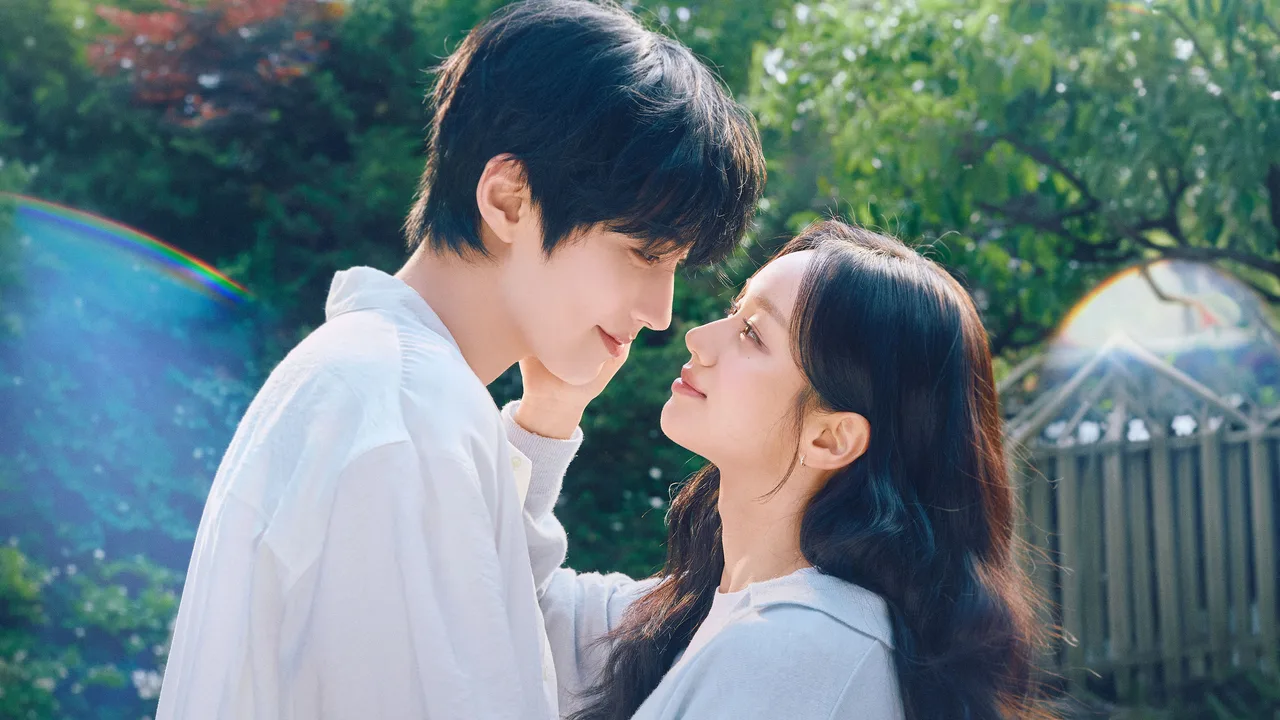 Dream to You (2026)